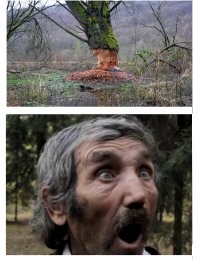 На общую тему&nbsp;