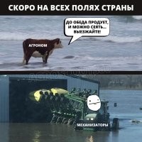 «Уже SOS надо кричать»: в Алтайском крае глава сельсовета устроил заплыв по затопленной талыми водами улице, чтобы пристыдить чиновников и коммунальщиков