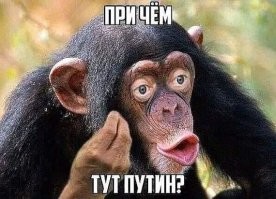 В списке богатейших людей мира появилось рекордное количество россиян