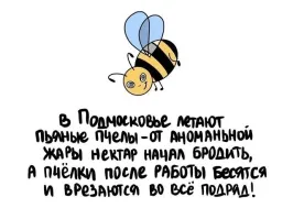 Где ж вы так наклюкались, родимые...?