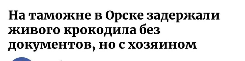 На таможне в Орске задержали живого крокодила без документов, но с хозяином