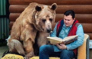 А медведи?