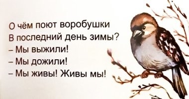 Не ищите здесь смысл. Здесь в основном маразм