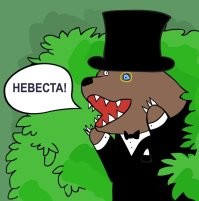 Китай сам выкупает невест для бедняков