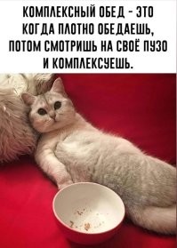 Телефонизация пушистых