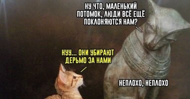 Ловкий котик помог псам достать их любимую игрушку