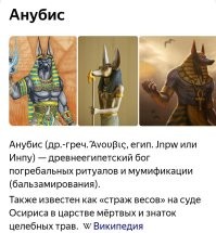 Это шакал.