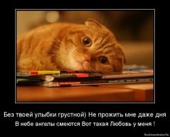 Культ солнца и его адепты