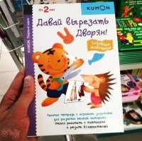 Напавшего на губернатора Мурманской области заключили под стражу