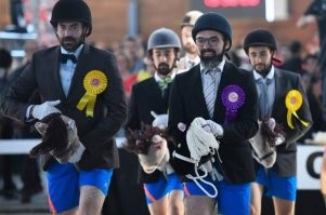 В хоббихорсинге её уже заждались.