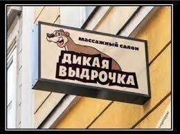 Жуткий факт о выдрах, который сложно принять