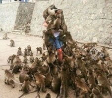 В Казахстане потребовали отменить рэпера Jah Khalib из-за его слов о жертвах насилия