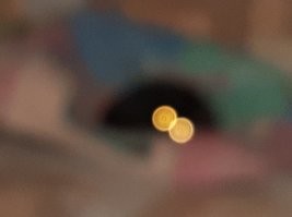 Адские фары: почему глаза кошек светятся разным цветом