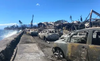 С гавайями разобрались уже?