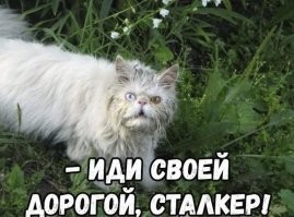 Скрины из соцсетей&nbsp;&nbsp;&nbsp;&nbsp;&nbsp;&nbsp;&nbsp;&nbsp;&nbsp;&nbsp;&nbsp;&nbsp;