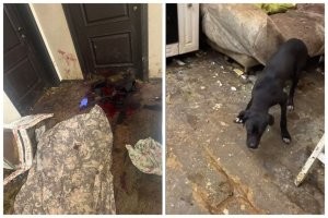 Может быть и так:
"...в квартире с 16 собаками нашли обглоданный труп хозяйки..."