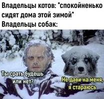 Не ищите здесь смысл. Здесь в основном маразм