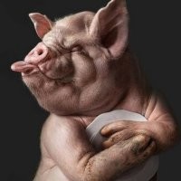 Боец ММА чуть сама себя не нокаутировала