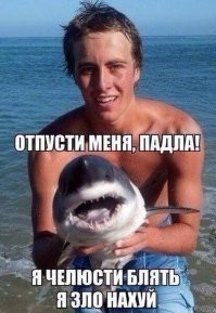 Наверное, даже миролюбивую акулу можно задолбать настолько, что она тяпнет за ногу. Это ж как собаками, если не лезть - маловероятно что укусит, а если настырничать то и пудель может вцепиться в мягкое место.
Если фото травмированной ноги - правдиво, то там какая-то относительно мелкая акула его цапнула.. потому что серьёзная акула - откусила бы ногу вообще без проблем.