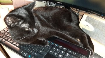 я тут всё настроил. пользуйся.