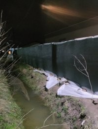 Намешалось