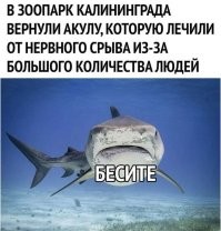 весна.... обострения всякие.  )))
