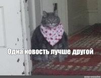 Назвавший русских "нацистами" дагестанец отправился на 5 лет в колонию