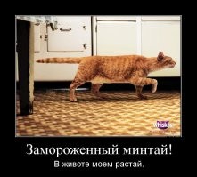 Не ищите здесь смысл. Здесь в основном маразм