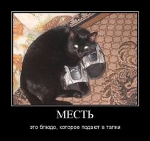 Хозяева забыли, что у них есть тапки.
Месть кота будет беспощадной.