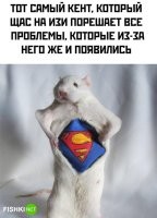 Очередной сумасшедший таксидермист?
Или тот же?