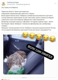 Парень не в восторге от нового знакомого своей девушки