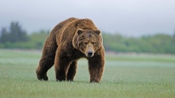 Миша! Вынеси ему свой приговор..