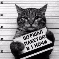 Не ищите здесь смысл. Здесь в основном маразм