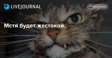 Хит Modern Talking на русском