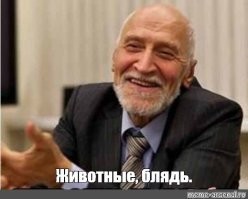 "Просто животные": в Нижнем Новгороде пятеро парней разгромили остановку. Потому что могут
