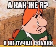 Пёс приревновал хозяйку к игрушке