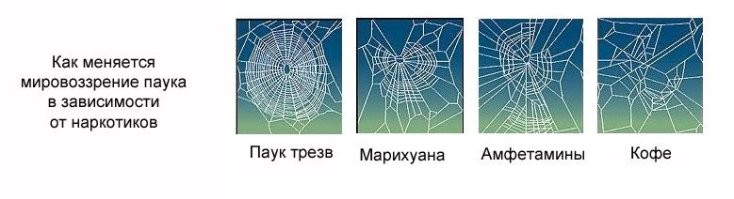 Обопьются своего кофе, наркоманы.=)