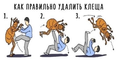 Не ищите здесь смысл. Здесь в основном маразм