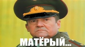 Кот, для которого любая дверь не помеха