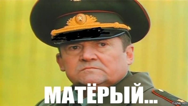 Кот, для которого любая дверь не помеха