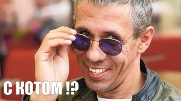 Спать с собаками менее полезно, чем с кошками