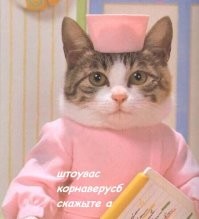 ...ещё и полечит...