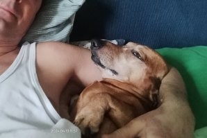 Ваще пофиг, чо они там говорят....