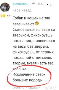 Для прирождённых юмористов - сначала читаем комментарий, потом отвечаем. Схема несложная. Используйте.