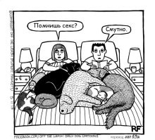 Спать с собаками менее полезно, чем с кошками