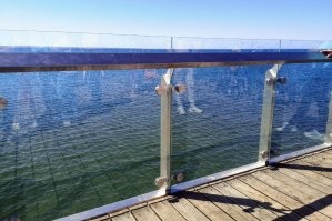 Без всяких учёных и домыслов подумала что птицы просто дезориентированы и оказалась права. Дело в том что у нас немного похожая ситуация. Без такого намеренного идиотизма конечно. У нас над городом проходят пути миграции многих птиц. Именно потому тут на Куршской косе расположена орнитологическая станция. Так вот сейчас за последние годы понастроили в городе кучу высотных домов. Они сверкают окнами и птицы просто врубаются в них. Новосёлы этих домов уже пару лет в шоке, а старожилы конечно понимают и без паники принимают печальную ситуацию. Птицы гибнут хоть и не массово, но в немалых количествах. В основном мелкие и очень быстрые. Ещё сделали моднявое стеклянное ограждение пирса и там тоже бьются птицы. Старожилы предупреждали, но администрация хочет креатива и туристов. Короче думаю что только увеличиваться это будет. Дома растут как грибы и птицы годами летающие по определённым трассам попадают в ловушки.