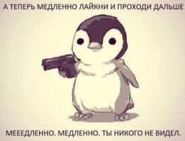 Сотни пингвинов совершили первый прыжок в&nbsp;воду с&nbsp;огромного ледника