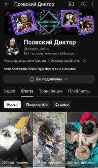 Эти пёсели Кузьмич и Джагер моя давняя любовь и хозяин у них тот ещё затейник, шикарно озвучивает их, Псовский диктор его звать. Советую всем для поднятия настроения