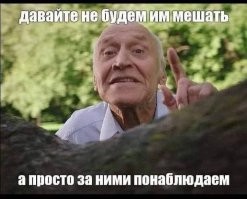 «Он сейчас всех собьёт»: в центре Саратова началась массовая драка горячих парней, а один из них сел в «Приору» и въехал в толпу