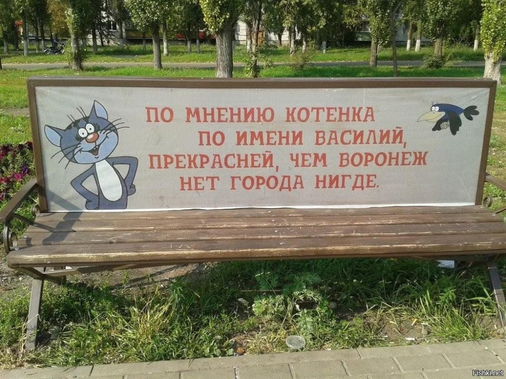В городе Воронеже